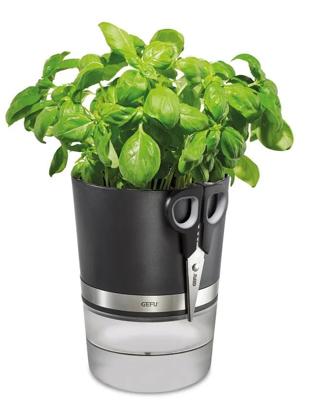 gefu-botanico-pot-herbes-avec-irrigation-automatique-et-indicateur-de-niveau-d-e image 1