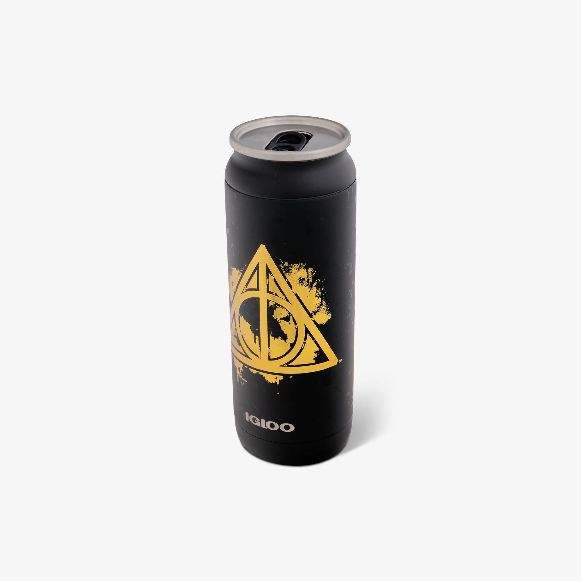 igloo-harry-potter-dark-arts-16-oz-473-ml-canette-isotherme-en-acier-inoxydable- image 3