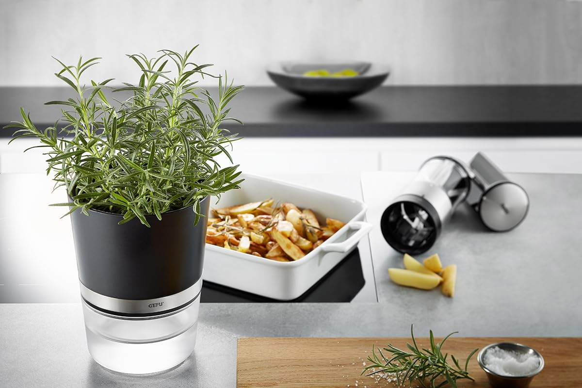 gefu-botanico-pot-herbes-avec-irrigation-automatique-et-indicateur-de-niveau-d-e image 4