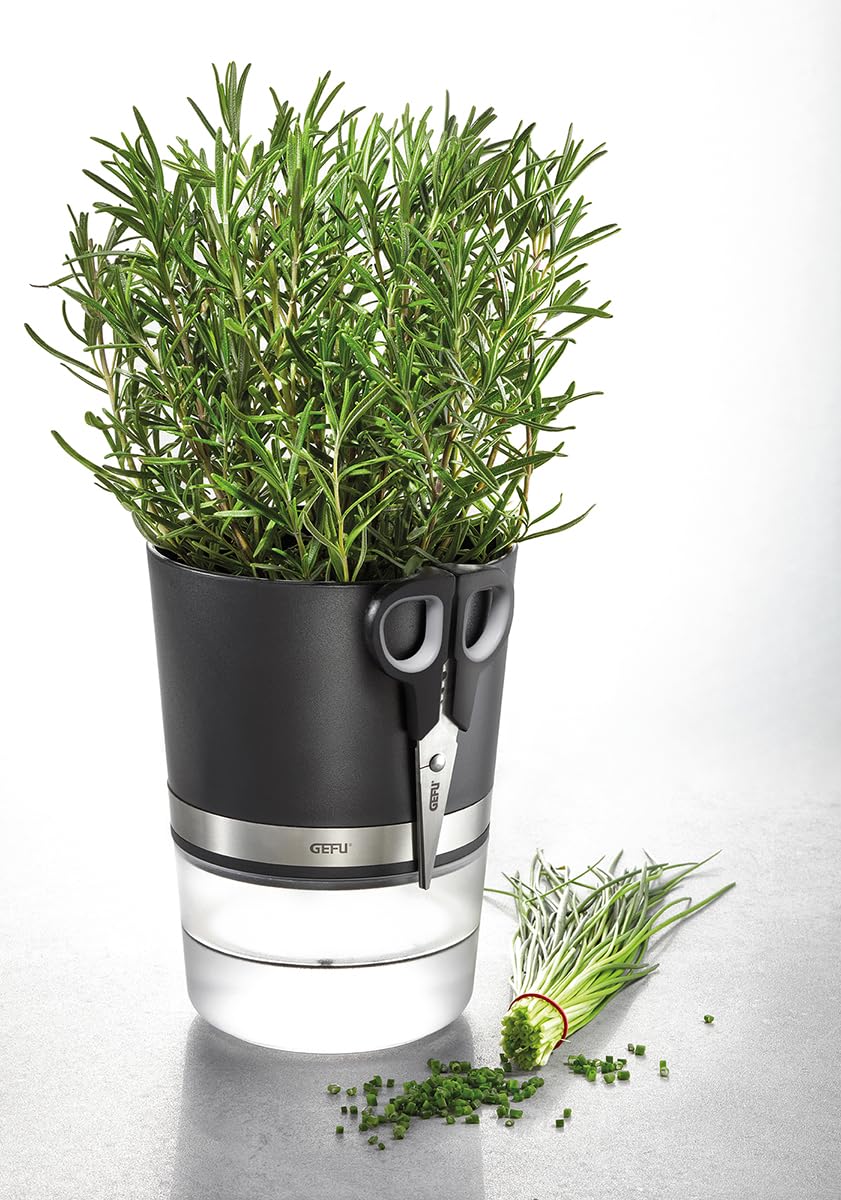 gefu-botanico-pot-herbes-avec-irrigation-automatique-et-indicateur-de-niveau-d-e image 2